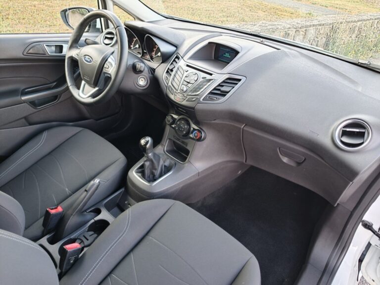 FORD FIESTA 1.0 ECOBOOST TREND 5PT 100cv